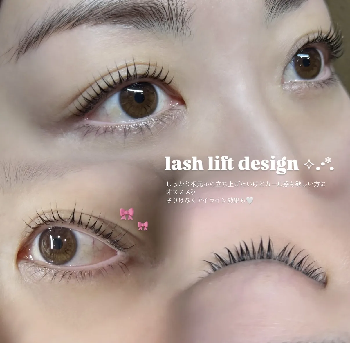 佐藤ノアのページの写真